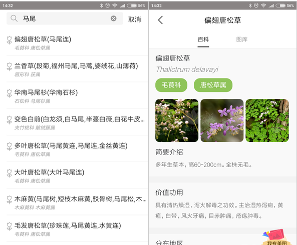 花伴侣不仅能识花，花朵百科信息一目了然