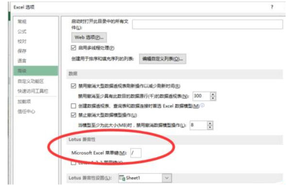 在Excel中无法输入斜线
