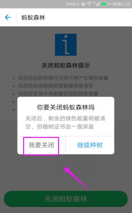 蚂蚁森林怎么关闭