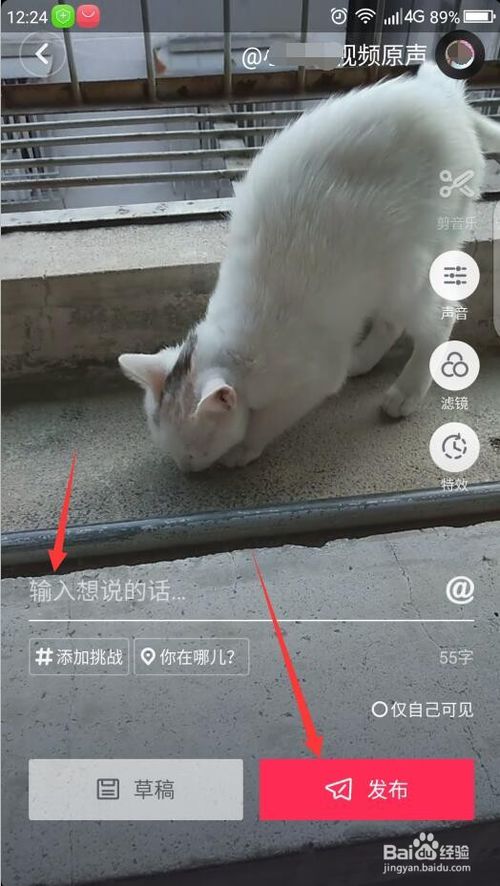 确认过眼神，这里有抖音如何发布视频教程