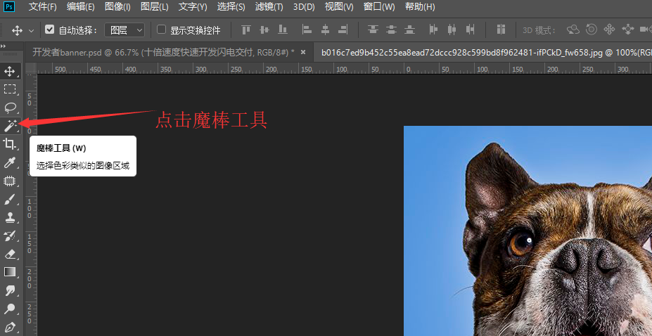 教你用PS魔棒工具来抠图，一看就会