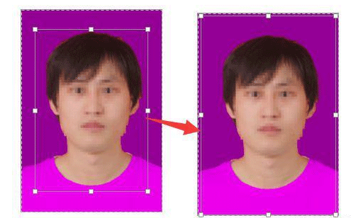 用word也能给证件照换底色，ps闪一边