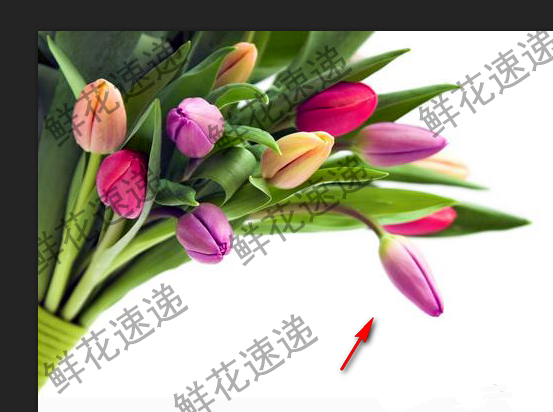 教你用PS完美去除图片上的连续水印