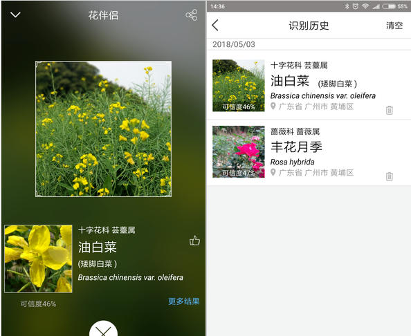 花伴侣不仅能识花，花朵百科信息一目了然