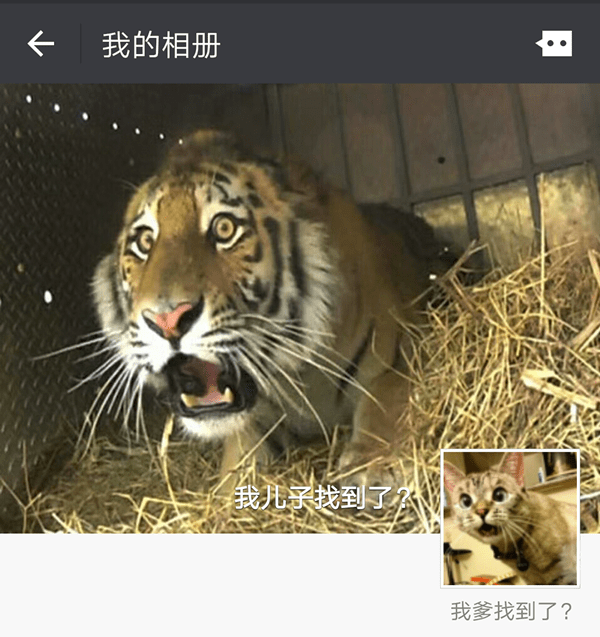 微信朋友圈还能这么玩，100%与众不同