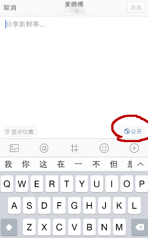 手机微博设置不让他人看到博文消息的图文方法