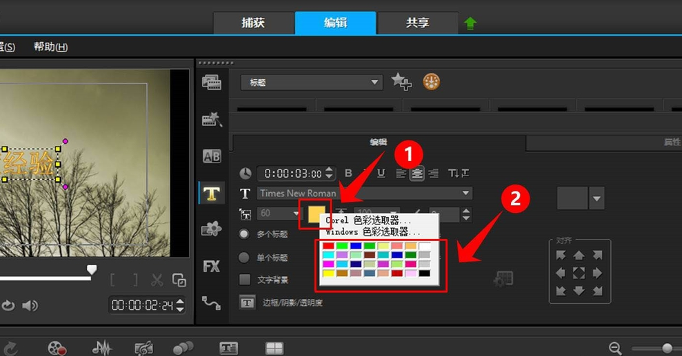 用会声会影制作特效文字的技巧分享