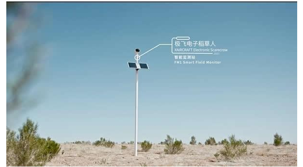 蚂蚁森林线上看树指南