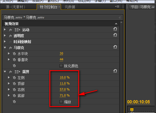 在视频上加马赛克，试试adobe premiere