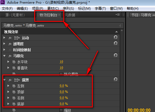 在视频上加马赛克，试试adobe premiere