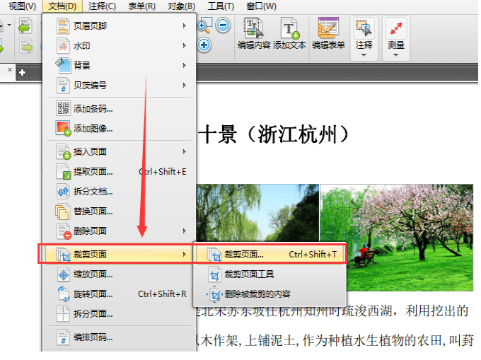 迅捷PDF编辑器自定义裁切PDF页面的图文教学