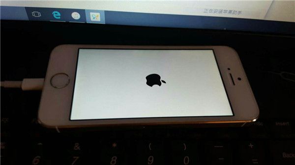 白苹果是什么