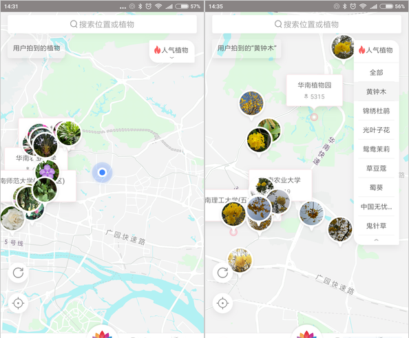 花伴侣不仅能识花，花朵百科信息一目了然