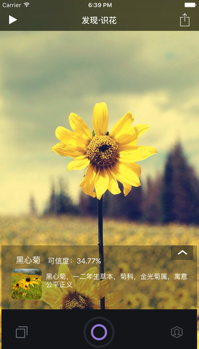 有了这些拍图识花软件，秒变大神