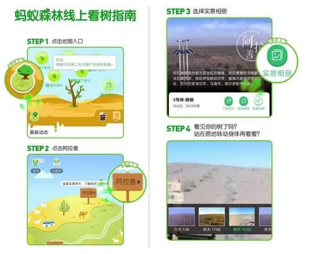 蚂蚁森林线上看树指南