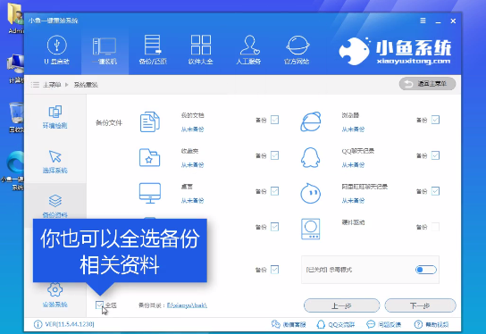 小鱼重装系统大师进行装机操作的相关教学