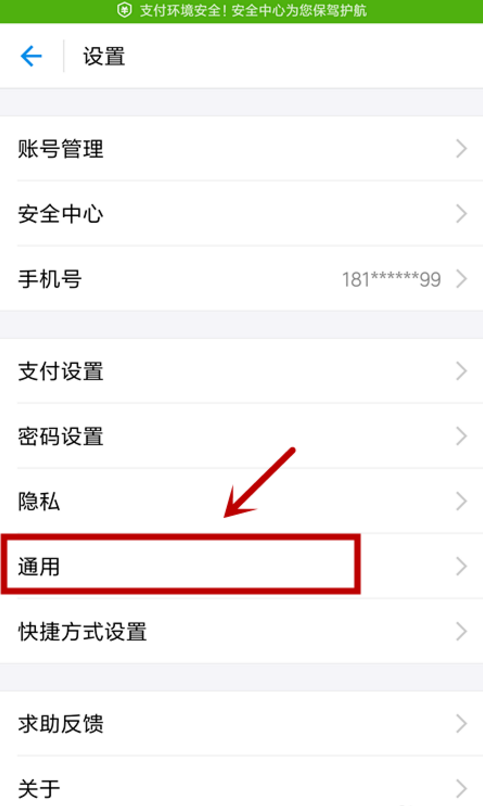 支付宝支持哪几种文字