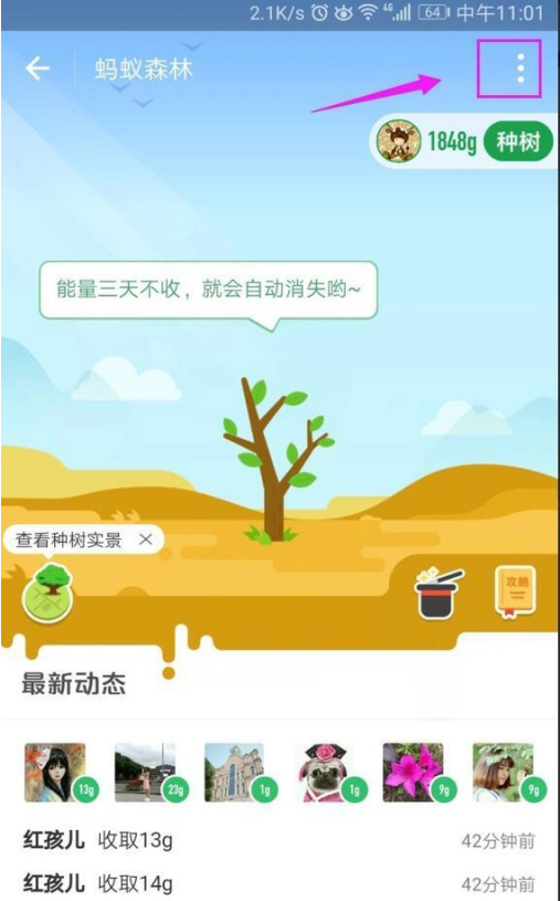 退出蚂蚁森林、清空能量的图文步骤