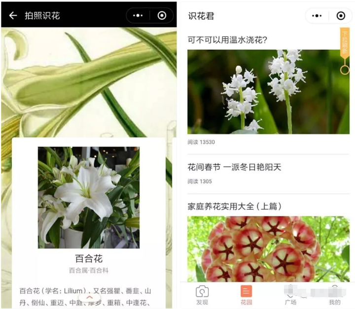 这些微信小程序一点都不鸡肋，说不定你会用到