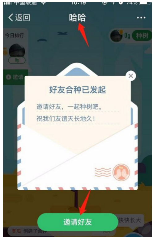蚂蚁森林合种功能在哪