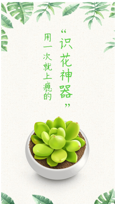 有了这些拍图识花软件，秒变大神