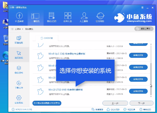 小鱼重装系统大师进行装机操作的相关教学