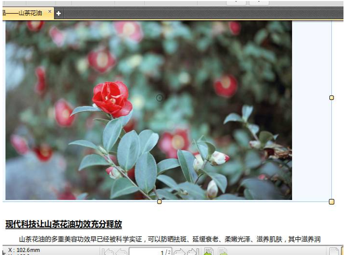 迅捷PDF编辑器快照：轻松截取画面