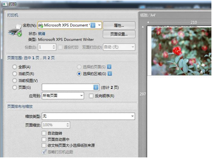 迅捷PDF编辑器快照：轻松截取画面