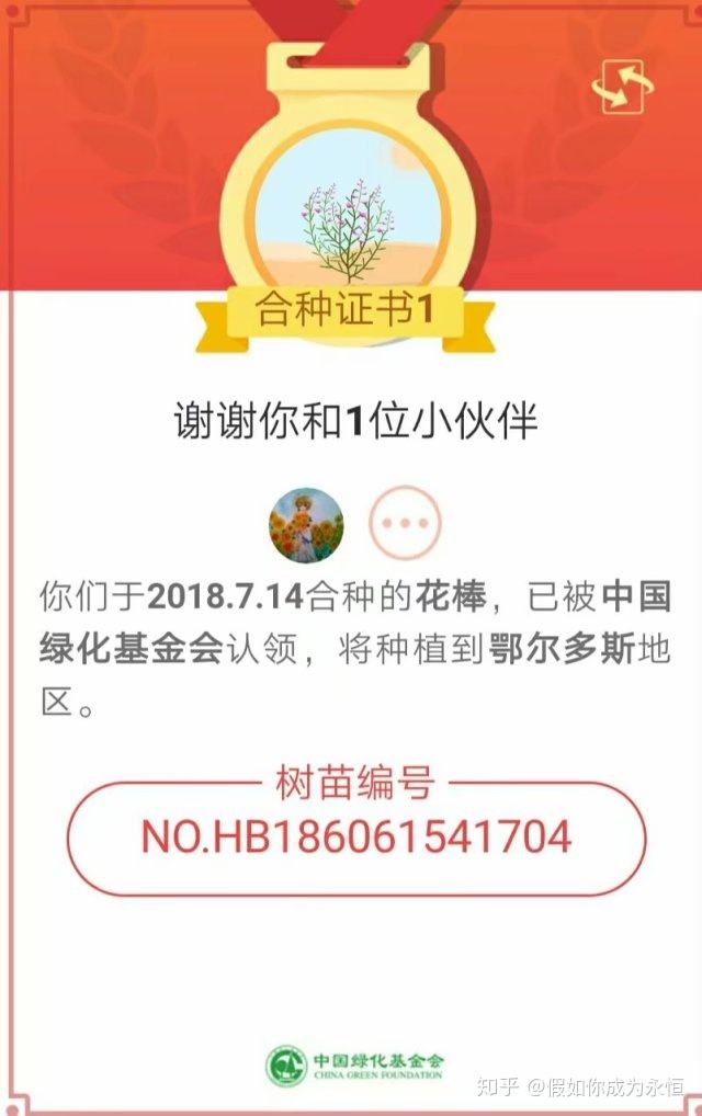 爱情树多少能量满