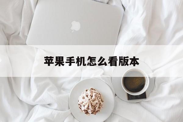 苹果手机怎么看版本