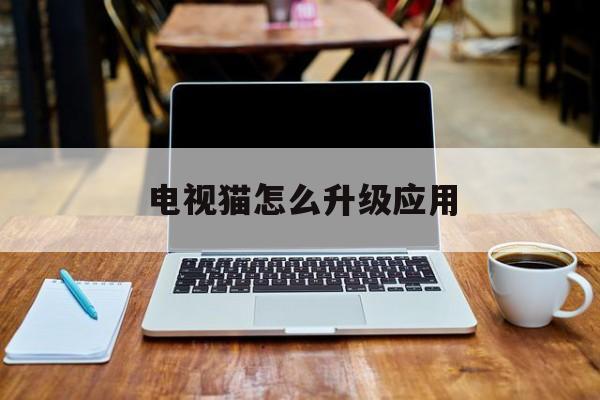 电视猫怎么升级应用