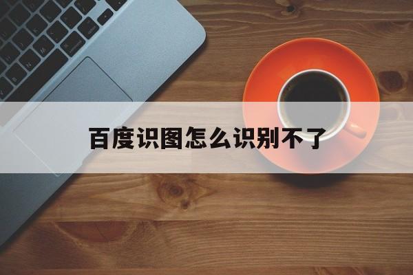 百度识图怎么识别不了