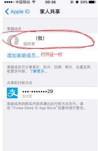 苹果家庭怎么用