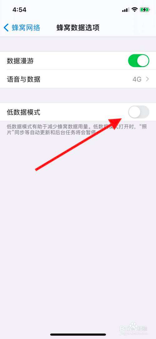 ipad蜂窝数据怎么开