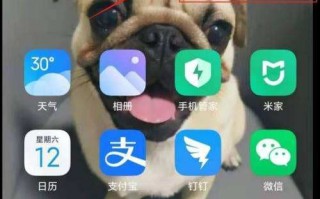 手机屏幕上有个圆圈悬浮