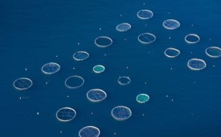 什么是必应学术?必应学术可以干嘛?