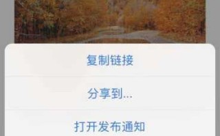 ins上的图片怎么保存