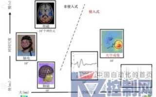 类脑计算: 脑科学研究进展