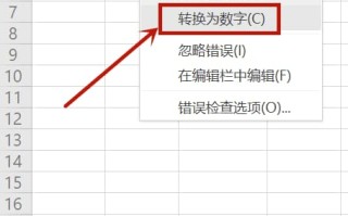 表格中宏是什么意思