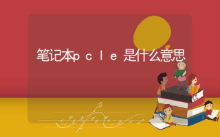 笔记本pcle是什么意思