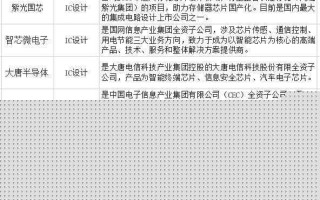我国IC产业代表性厂商