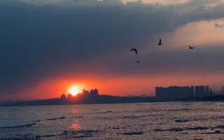 手机日出拍摄技巧