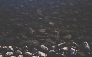2026年做SEO还有用吗？我看了300个网站的数据后说实话了