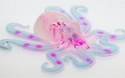 全软体机器人“Octobot”