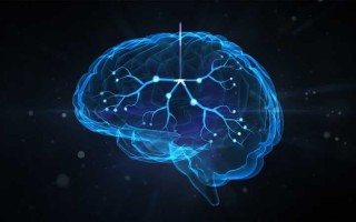 什么是脑图?怎么画脑图?