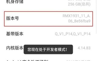 开发者模式是什么意思