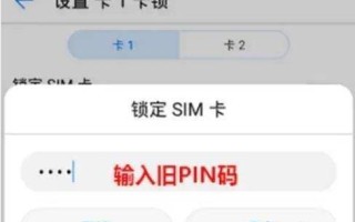 pin锁定是什么意思