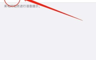 苹果高清语音设置方法