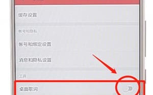 网易云音乐桌面歌词不显示