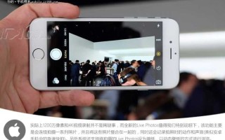 苹果公开版什么意思